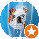 Linda C. profile picture