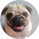 Christine O. profile picture