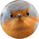 PAT T. profile picture
