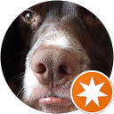 chris K. profile picture