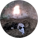 alastair philip S. profile picture